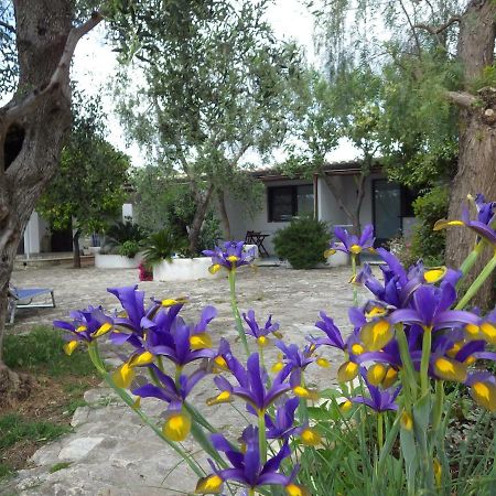 B&B Masseria Liberatore Mattinata Zewnętrze zdjęcie
