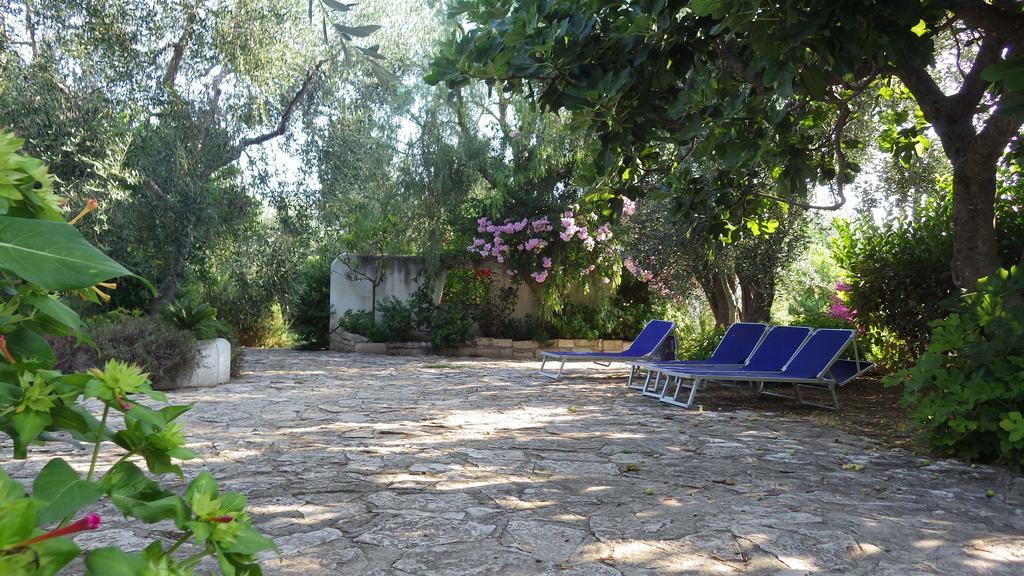 B&B Masseria Liberatore Mattinata Zewnętrze zdjęcie