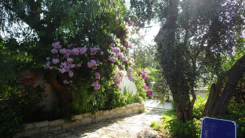 B&B Masseria Liberatore Mattinata Zewnętrze zdjęcie