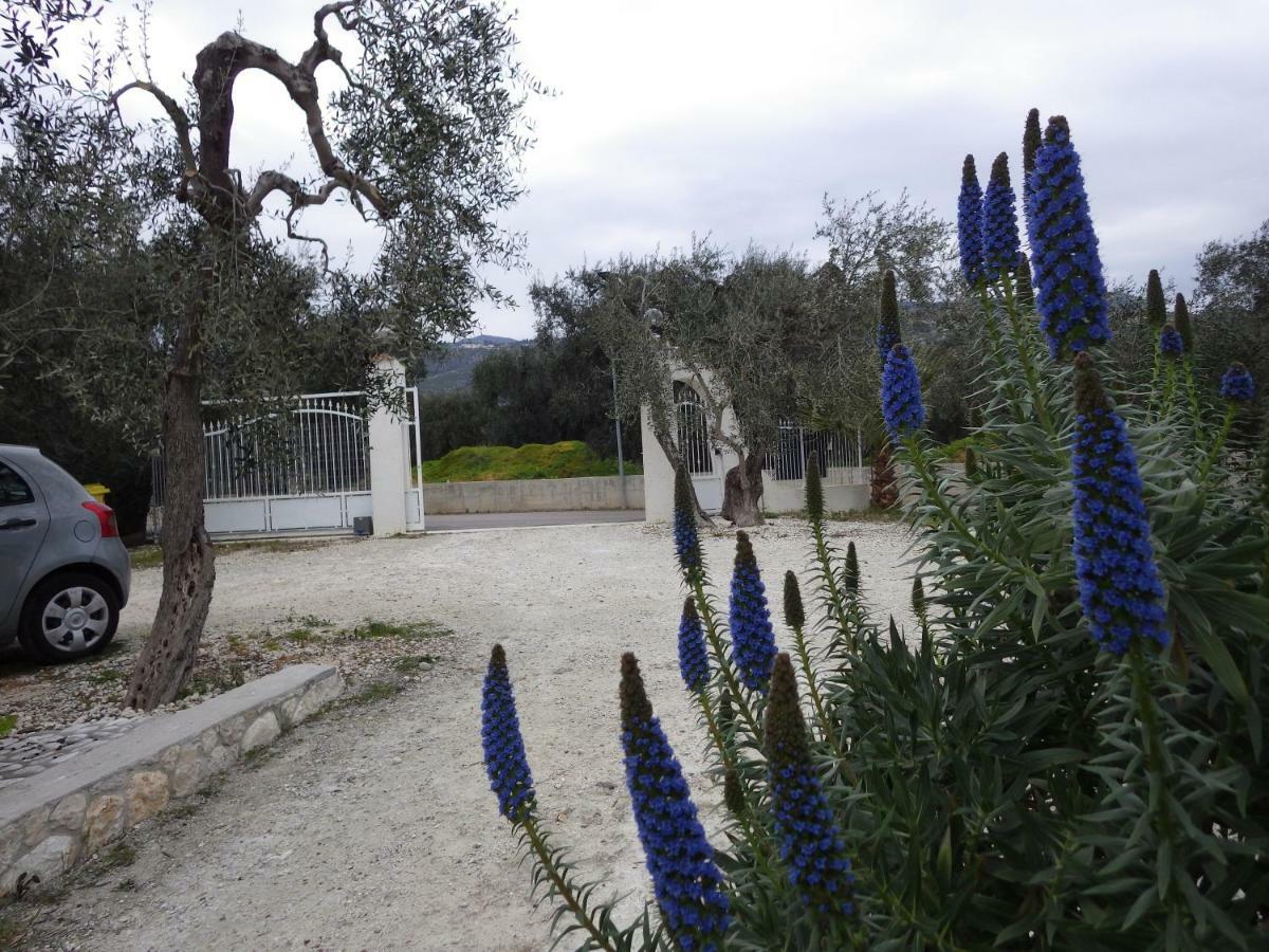 B&B Masseria Liberatore Mattinata Zewnętrze zdjęcie