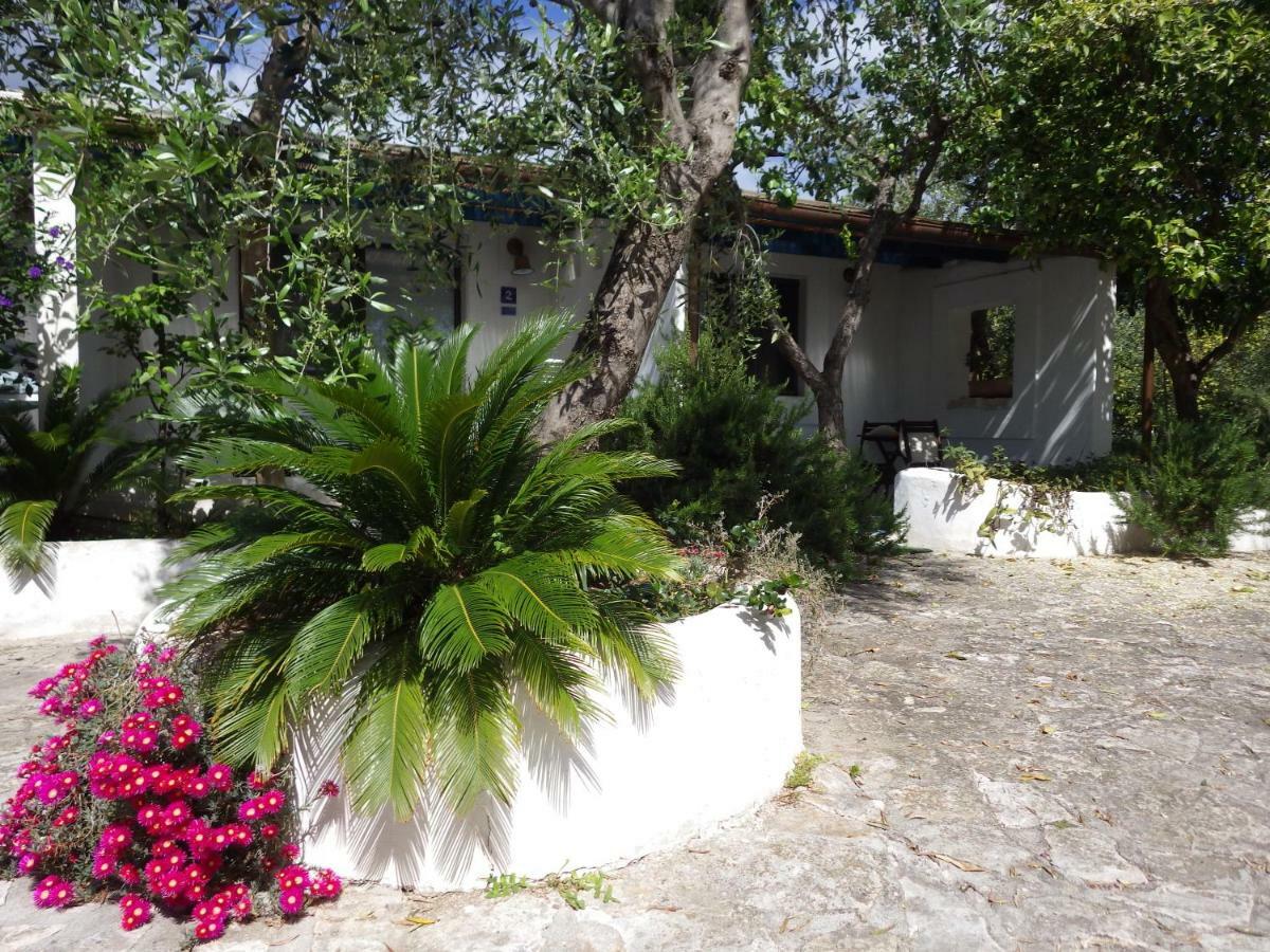B&B Masseria Liberatore Mattinata Zewnętrze zdjęcie