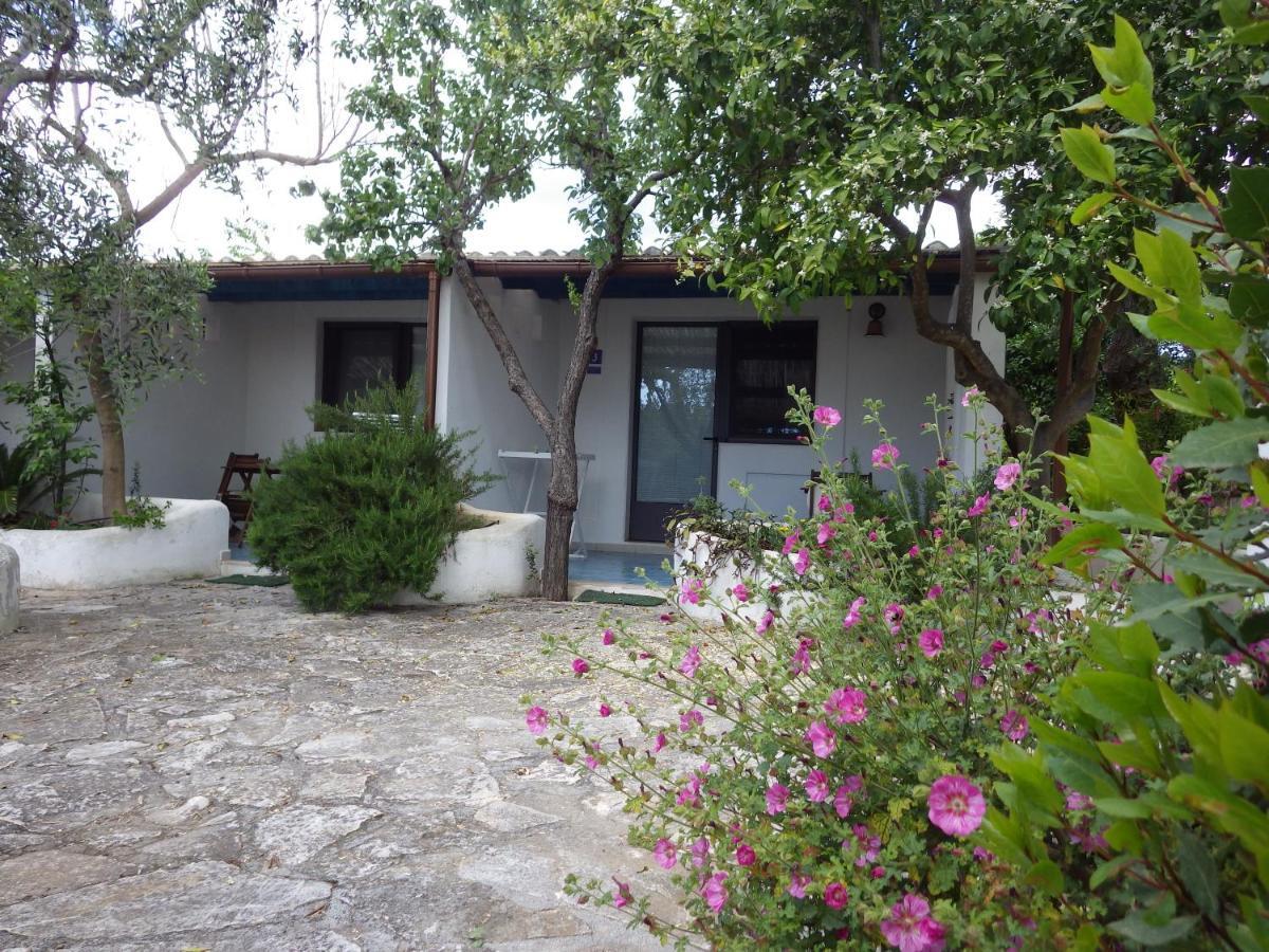 B&B Masseria Liberatore Mattinata Zewnętrze zdjęcie